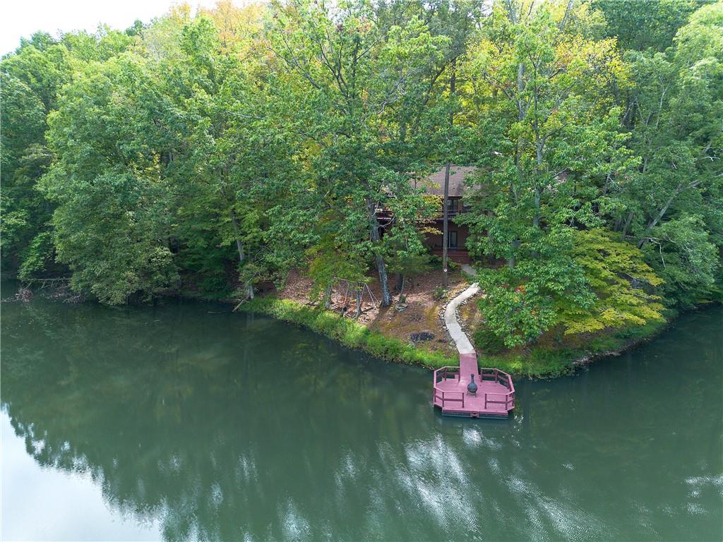 75 Star Wars Path Property Photo 19