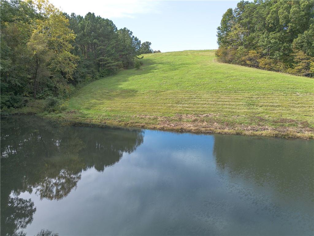 75 Star Wars Path Property Photo 21