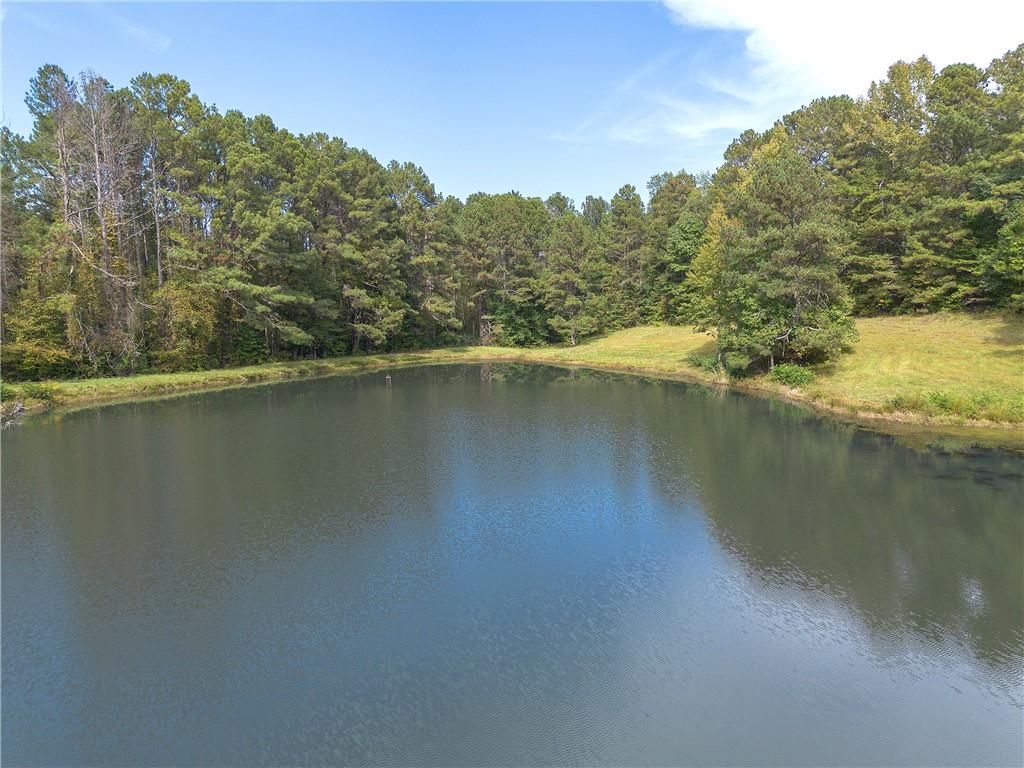 75 Star Wars Path Property Photo 22