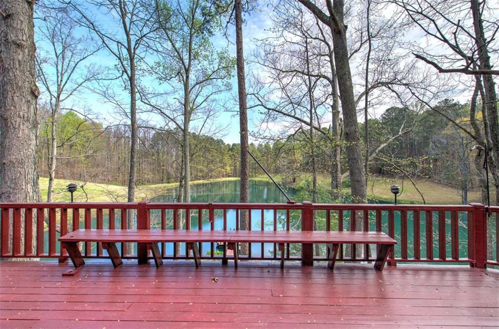 75 Star Wars Path Property Photo 28