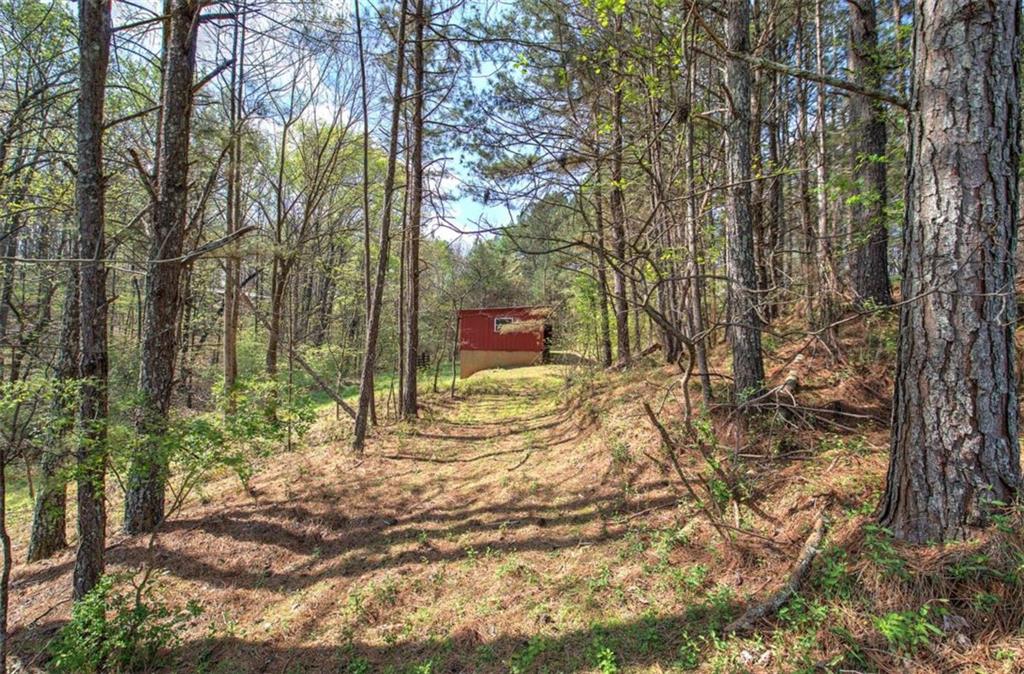 75 Star Wars Path Property Photo 69