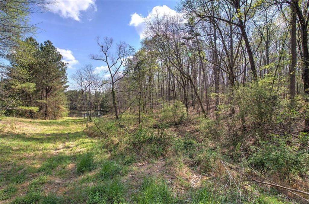 75 Star Wars Path Property Photo 78