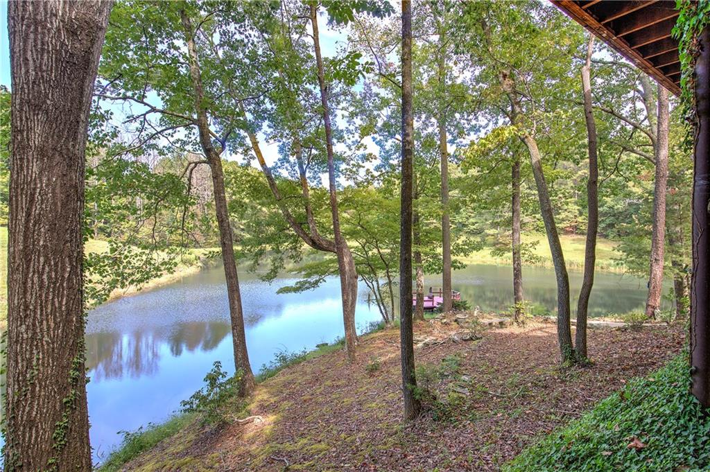 75 Star Wars Path Property Photo 82