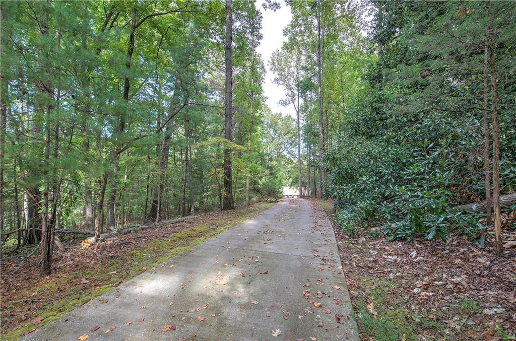 75 Star Wars Path Property Photo 83