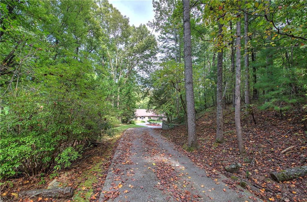 75 Star Wars Path Property Photo 84