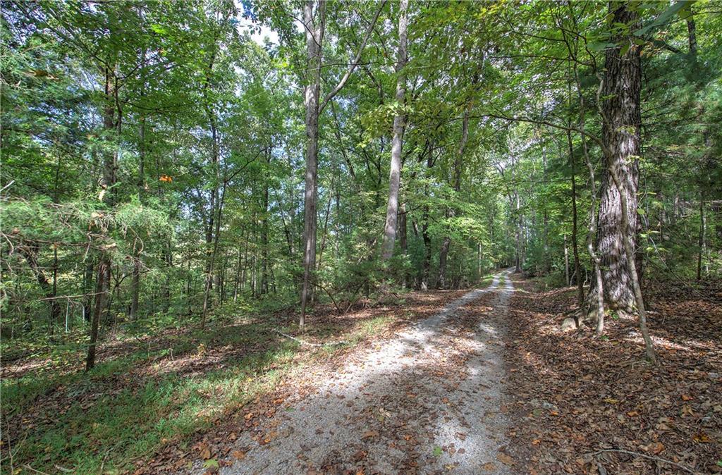 75 Star Wars Path Property Photo 85