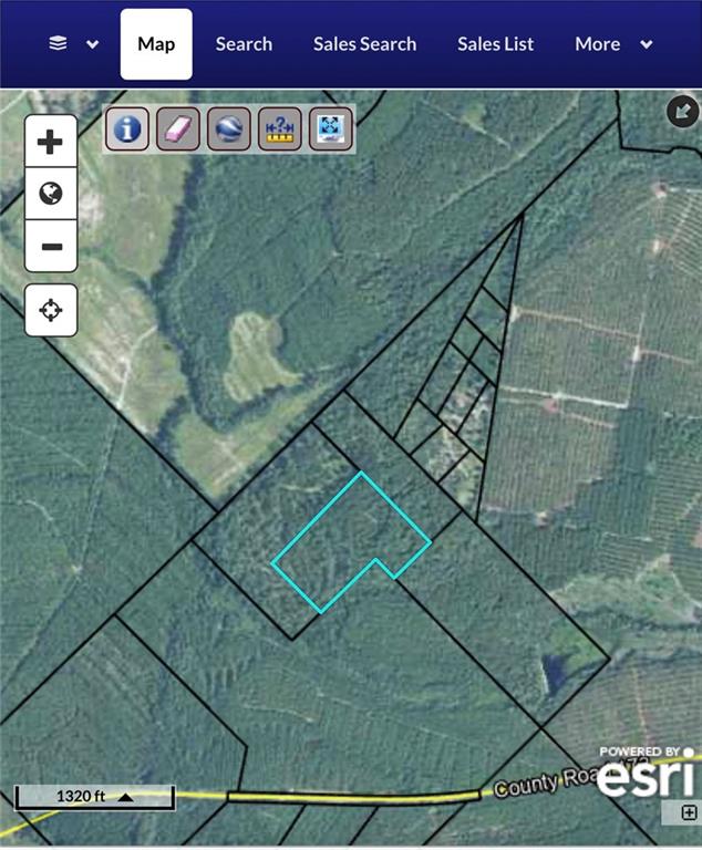 20 Ac Hope Church & Rt. 149 Property Photo 2