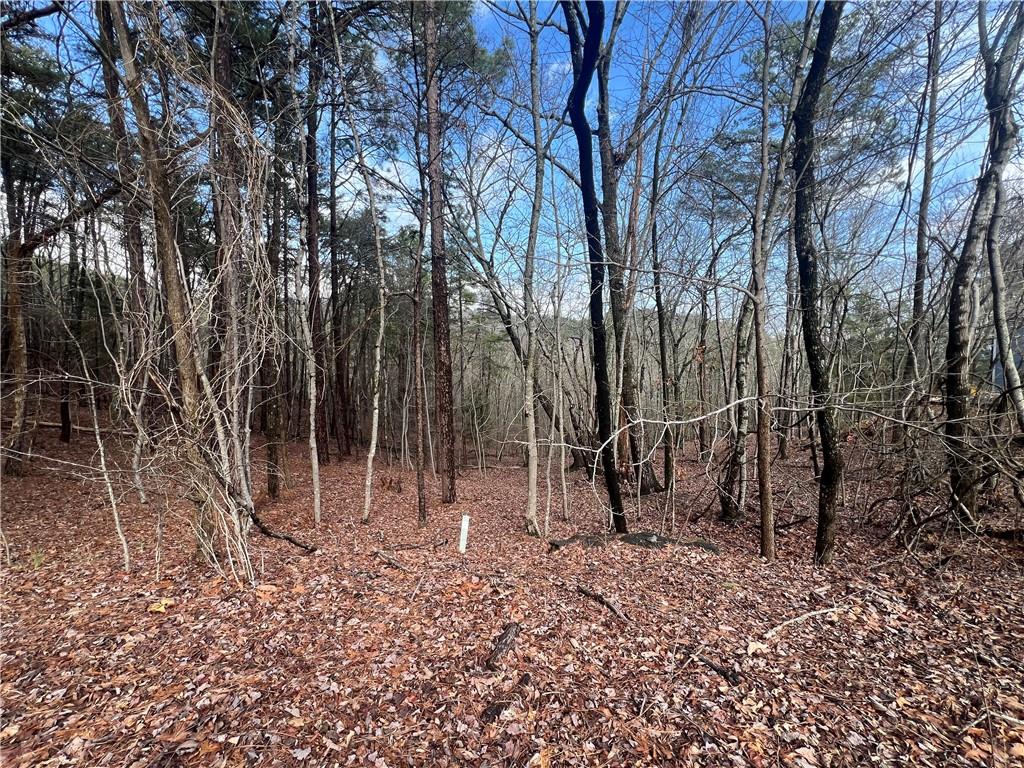 0 Spring Ridge Trail Property Photo 1