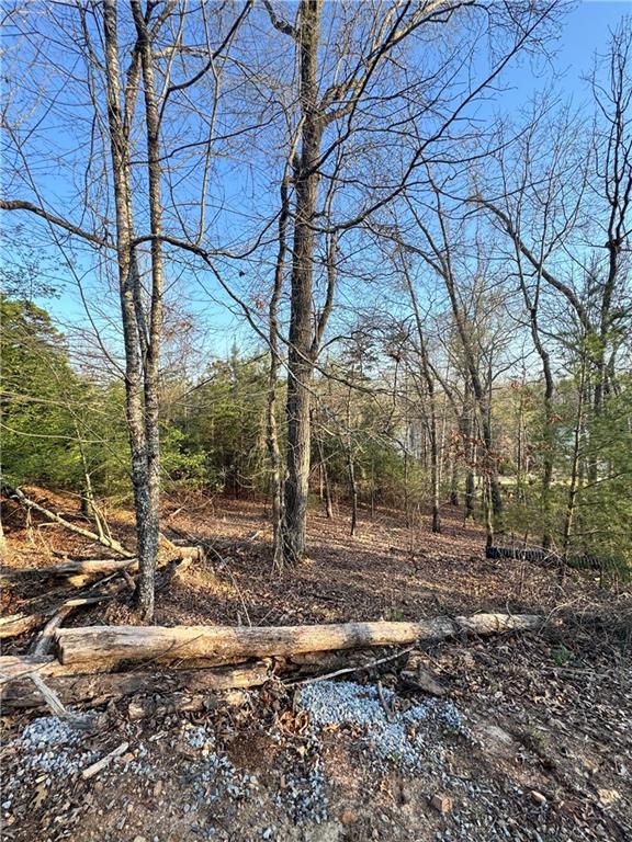 7208 Collins Drive Property Photo 7