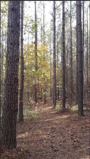 1047 Ponder Trammell Road Property Photo 1