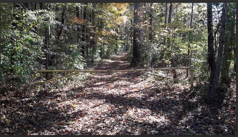 1047 Ponder Trammell Road Property Photo 2