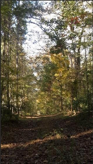 1047 Ponder Trammell Road Property Photo 3