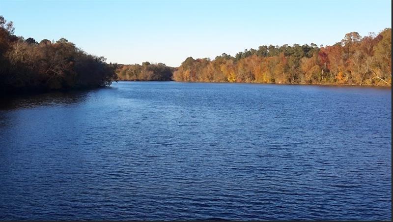 1047 Ponder Trammell Road Property Photo 6