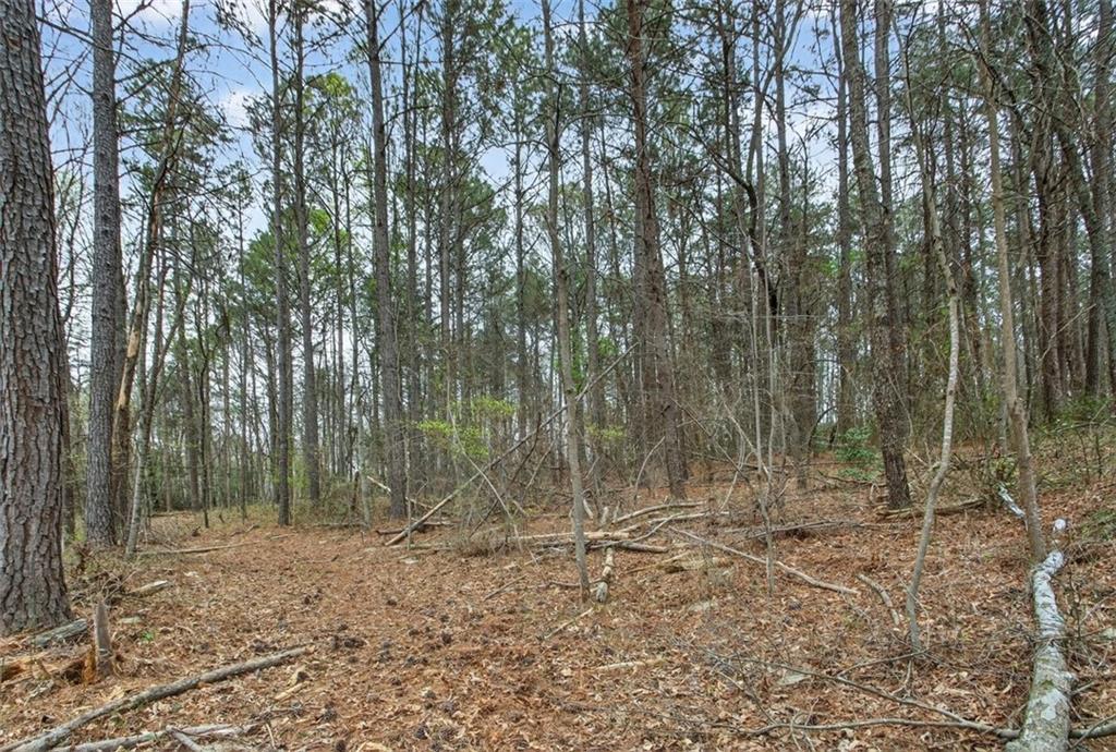 1812 Upper Bethany Road Property Photo 1
