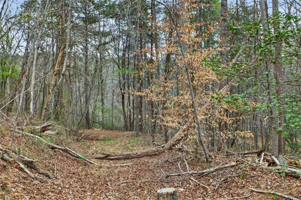 1812 Upper Bethany Road Property Photo 3
