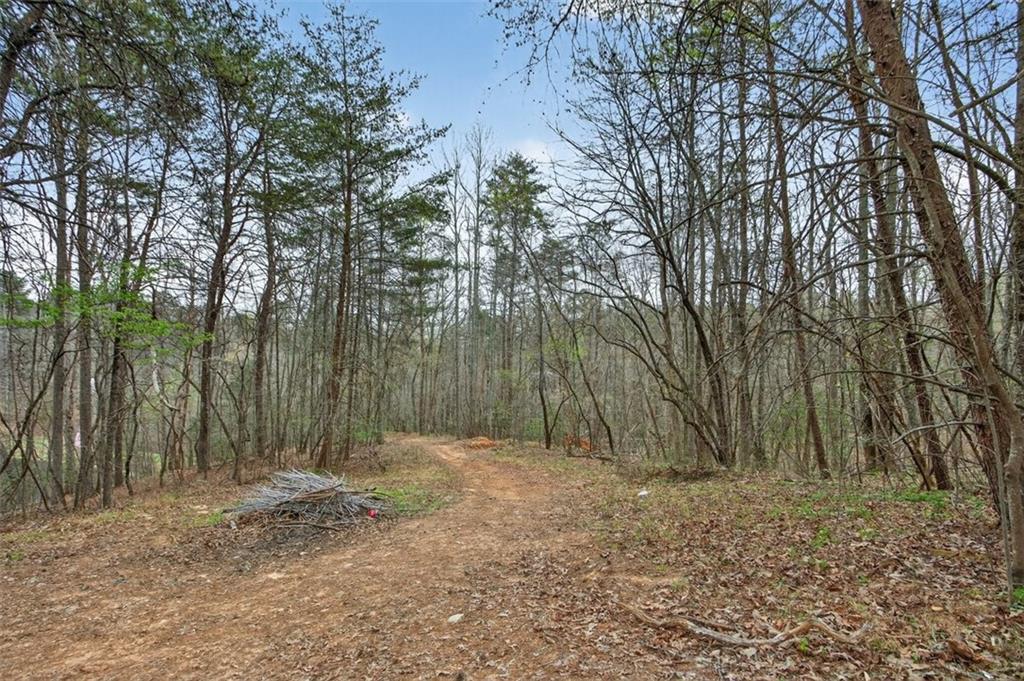 1812 Upper Bethany Road Property Photo 4