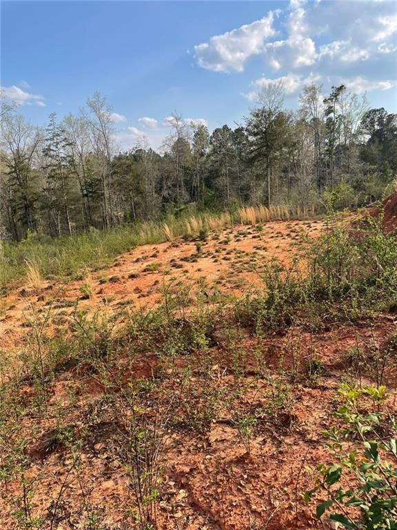 2557 Washington Highway Property Photo 1