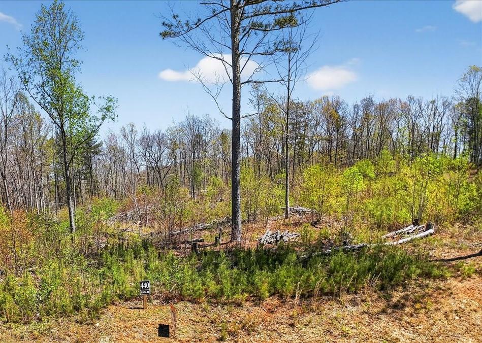0 Twisted Oak Road Property Photo 2