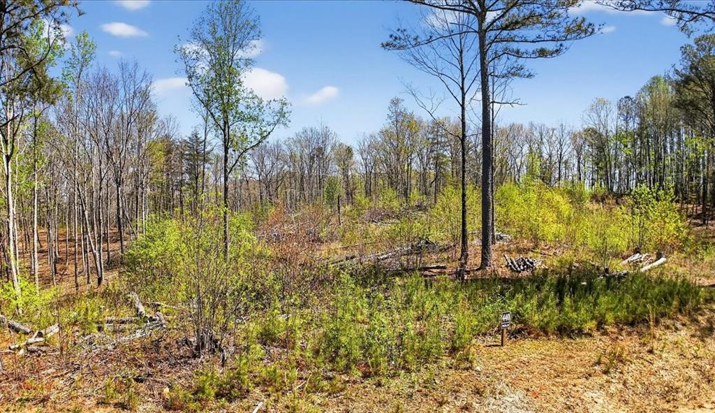0 Twisted Oak Road Property Photo 3