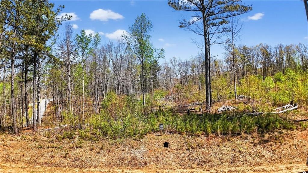 0 Twisted Oak Road Property Photo 4