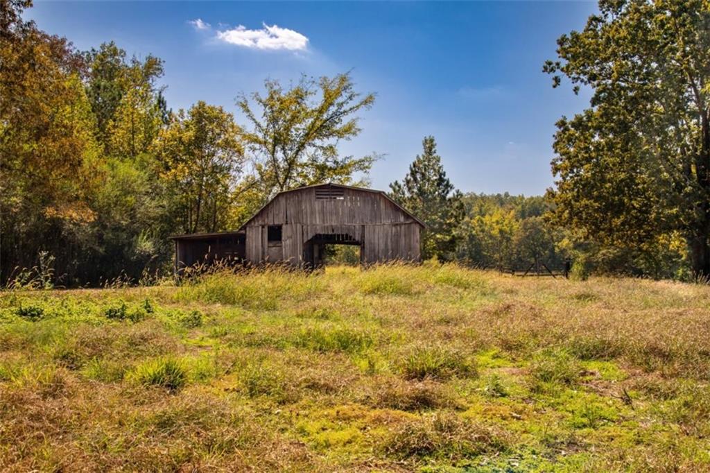 1239 Livingston Road Property Photo 4