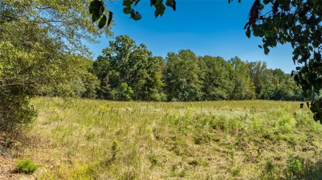 1239 Livingston Road Property Photo 6
