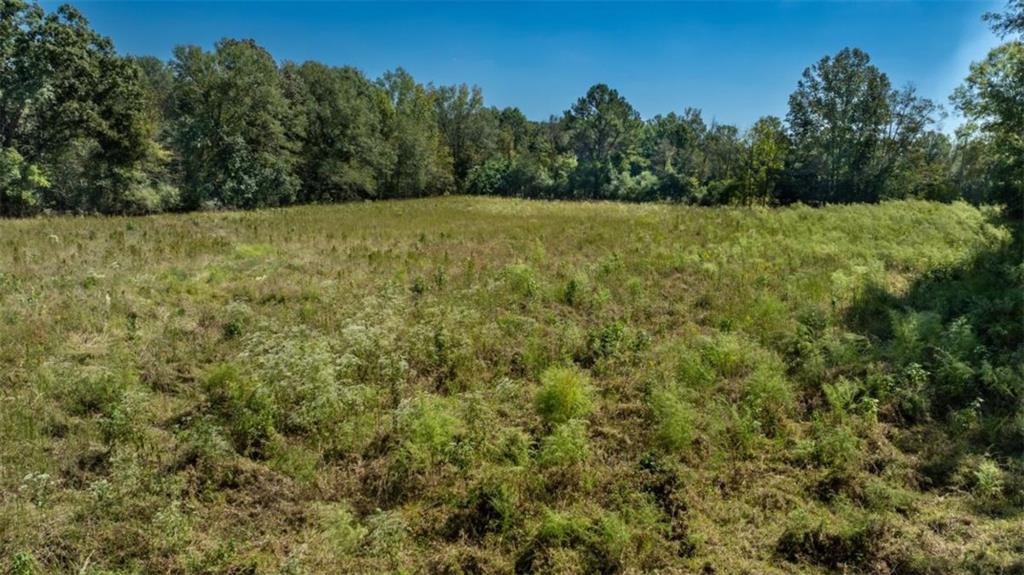 1239 Livingston Road Property Photo 7