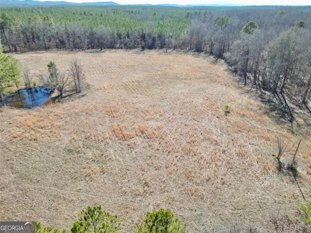 1239 Livingston Road Property Photo 9