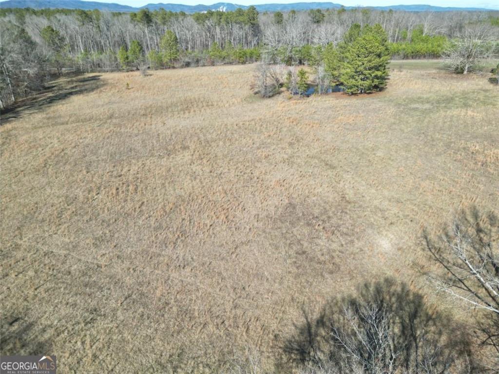 1239 Livingston Road Property Photo 10