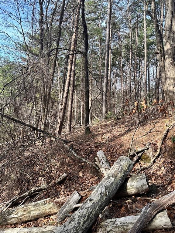 0 Log Swamp Drive Property Photo 1