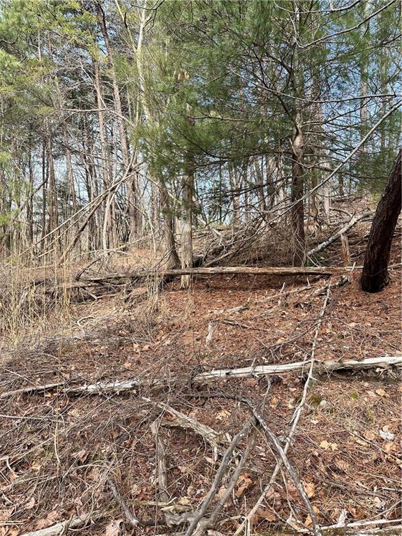 0 Log Swamp Drive Property Photo 2
