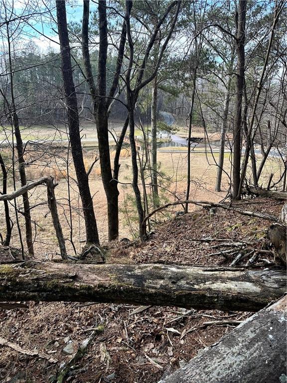0 Log Swamp Drive Property Photo 3
