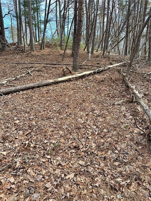 0 Log Swamp Drive Property Photo 4