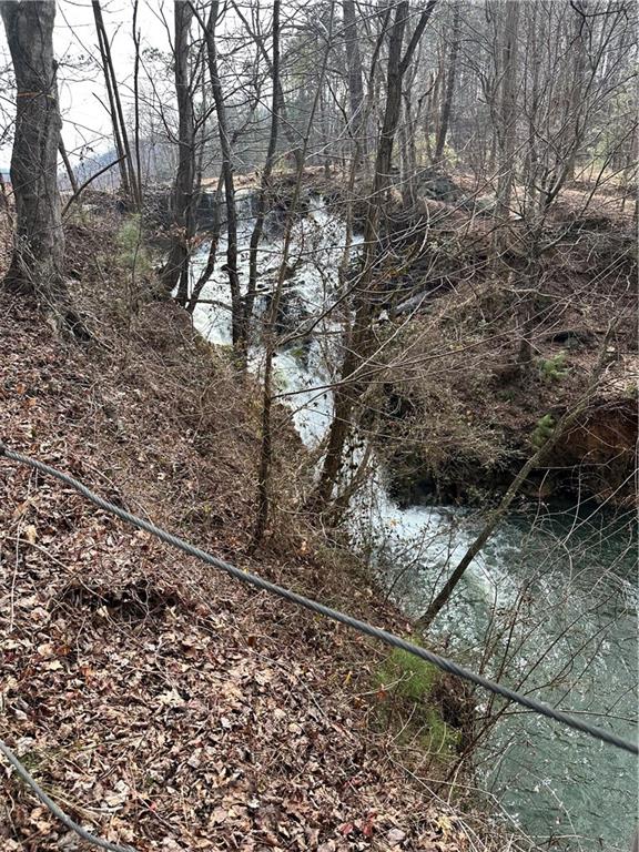 0 Log Swamp Drive Property Photo 5