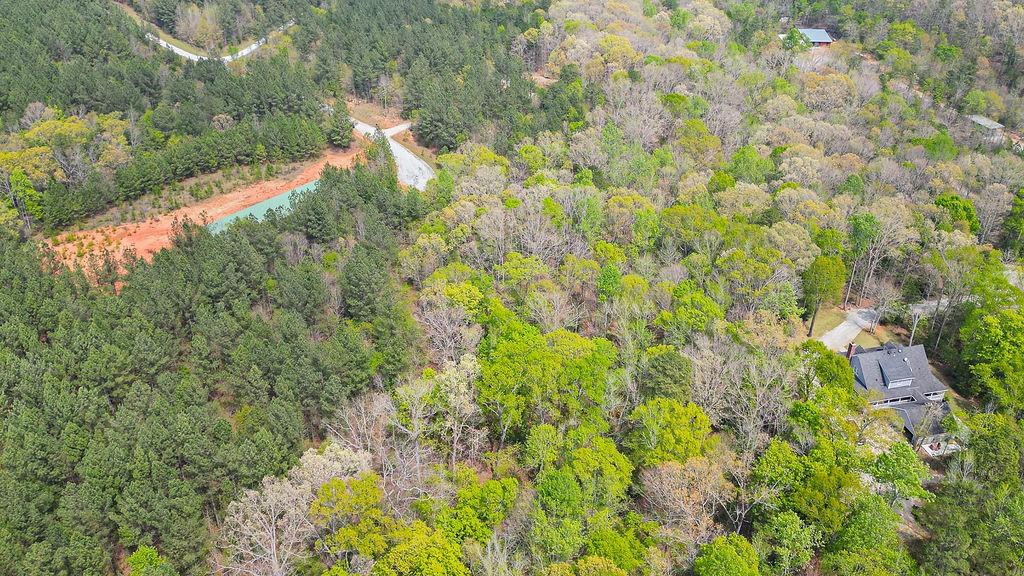 0 Long Pine Lane Property Photo 3