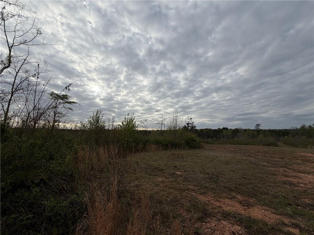 000 Lunceford Road Ne Property Photo 8