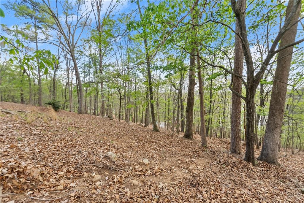 2524 Thompson Ovlk Property Photo 6