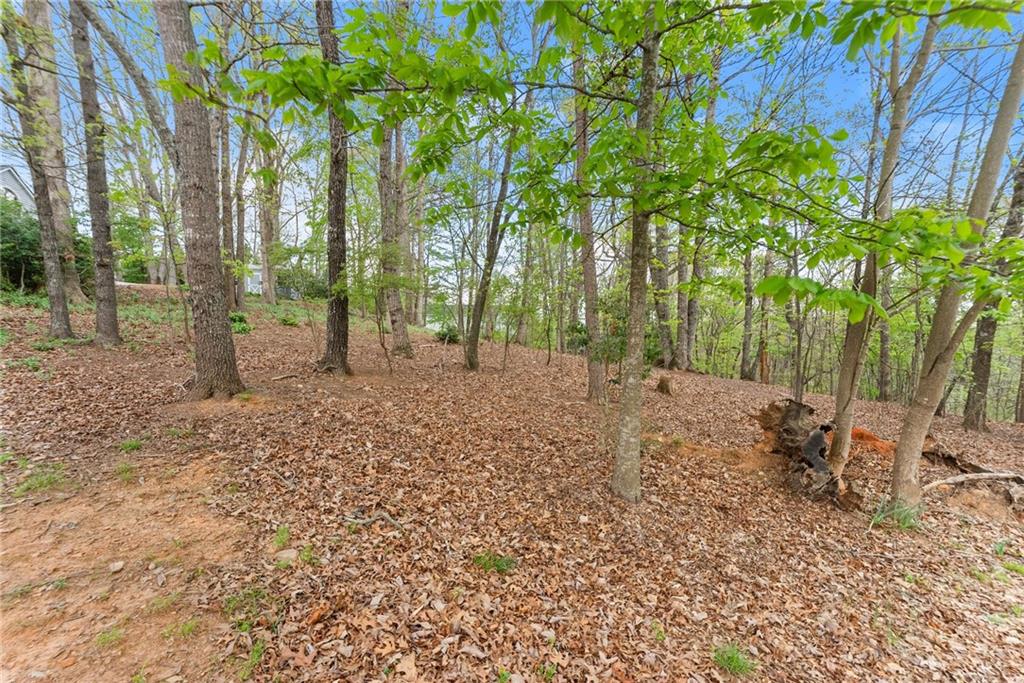 2527 Thompson Ovlk Property Photo 2