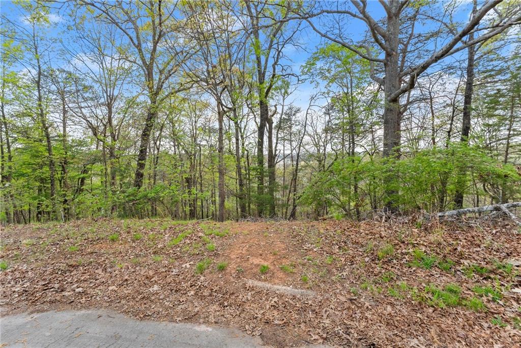 0 Thompson Ovlk Property Photo 5