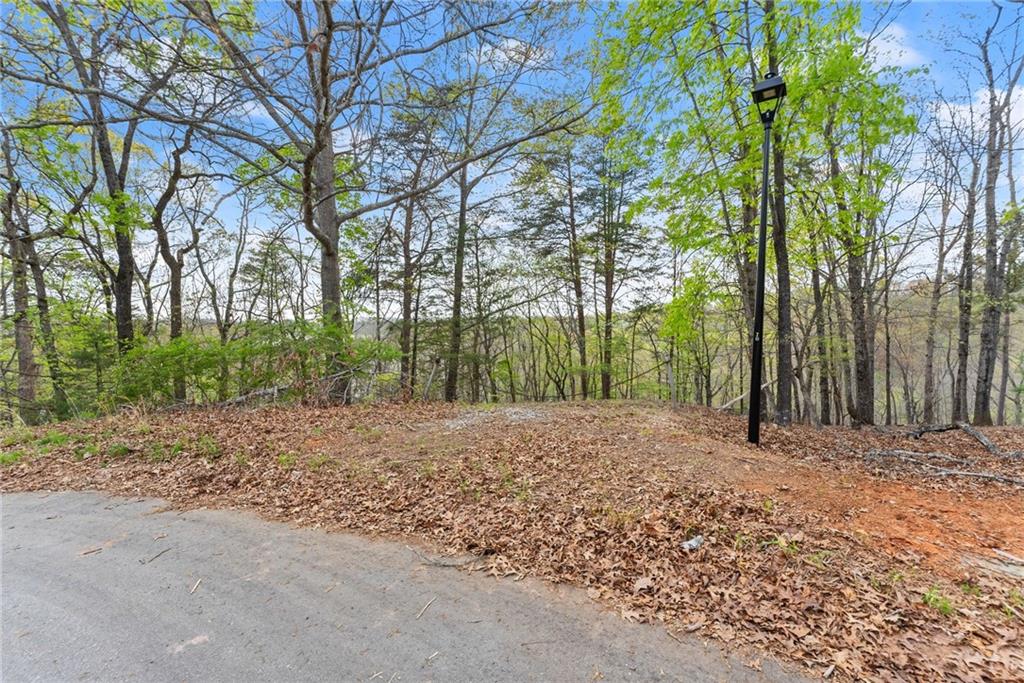 0 Thompson Ovlk Property Photo 6