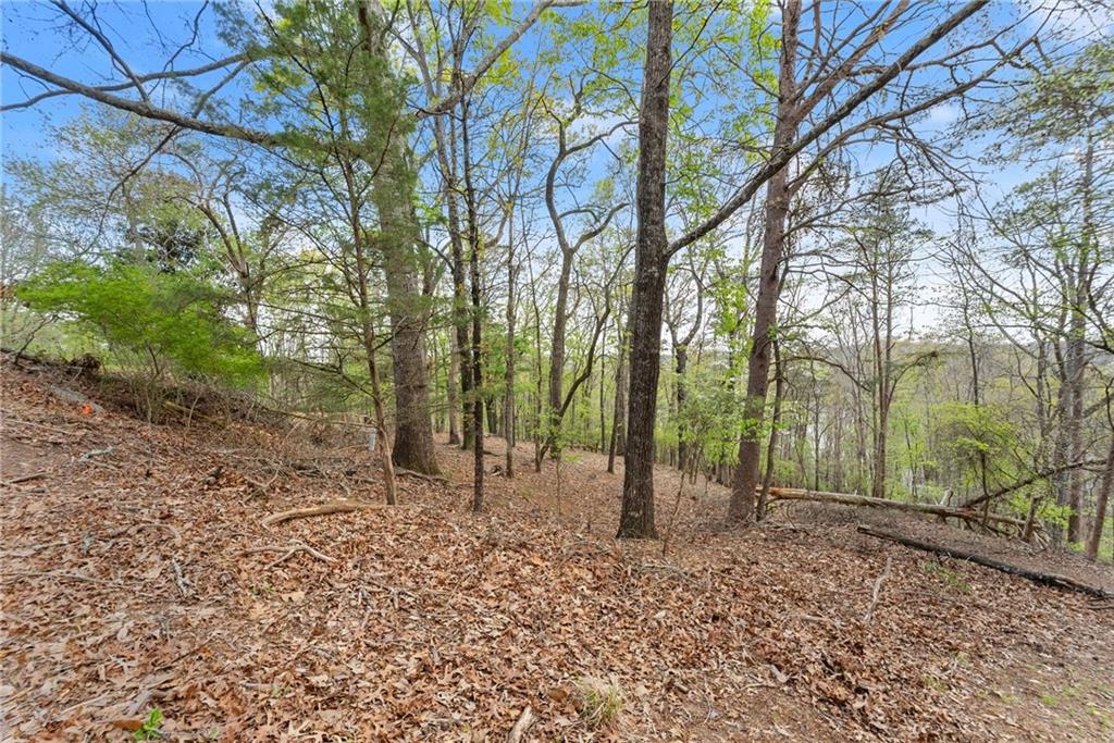 0 Thompson Ovlk Property Photo 8