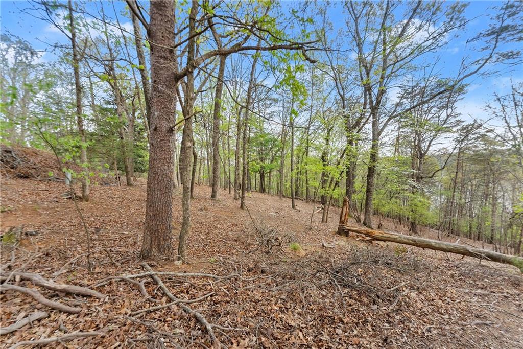 0 Thompson Ovlk Property Photo 9