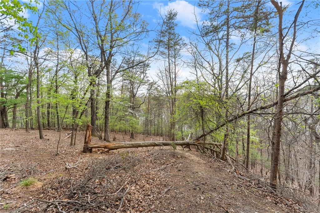 0 Thompson Ovlk Property Photo 10