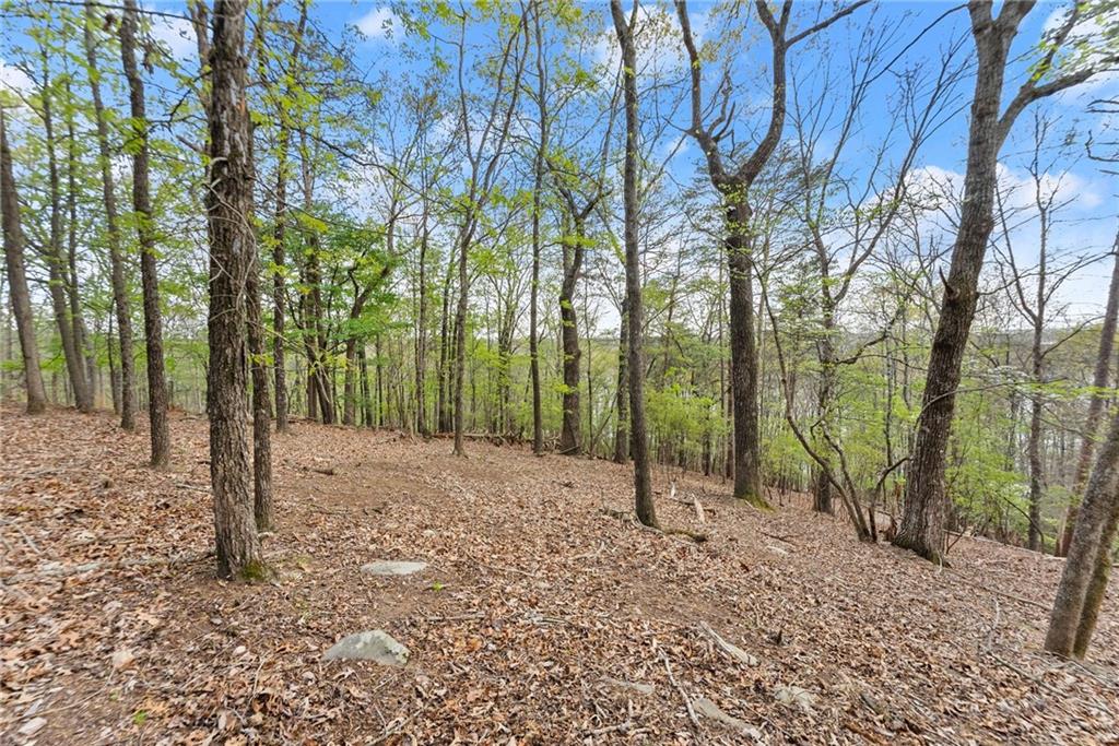0 Thompson Ovlk Property Photo 11