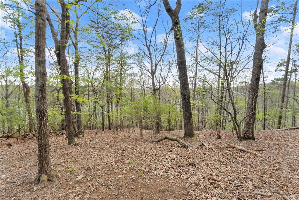 0 Thompson Ovlk Property Photo 12