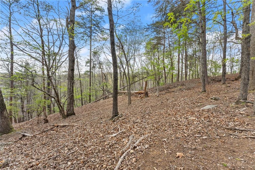 0 Thompson Ovlk Property Photo 13