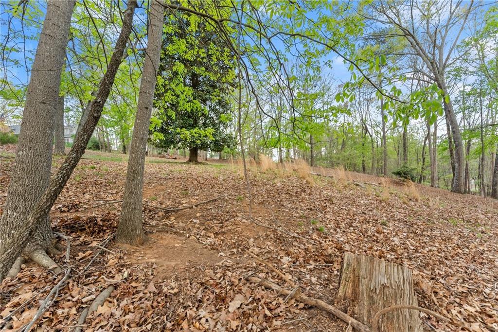 0 Thompson Ovlk Property Photo 16