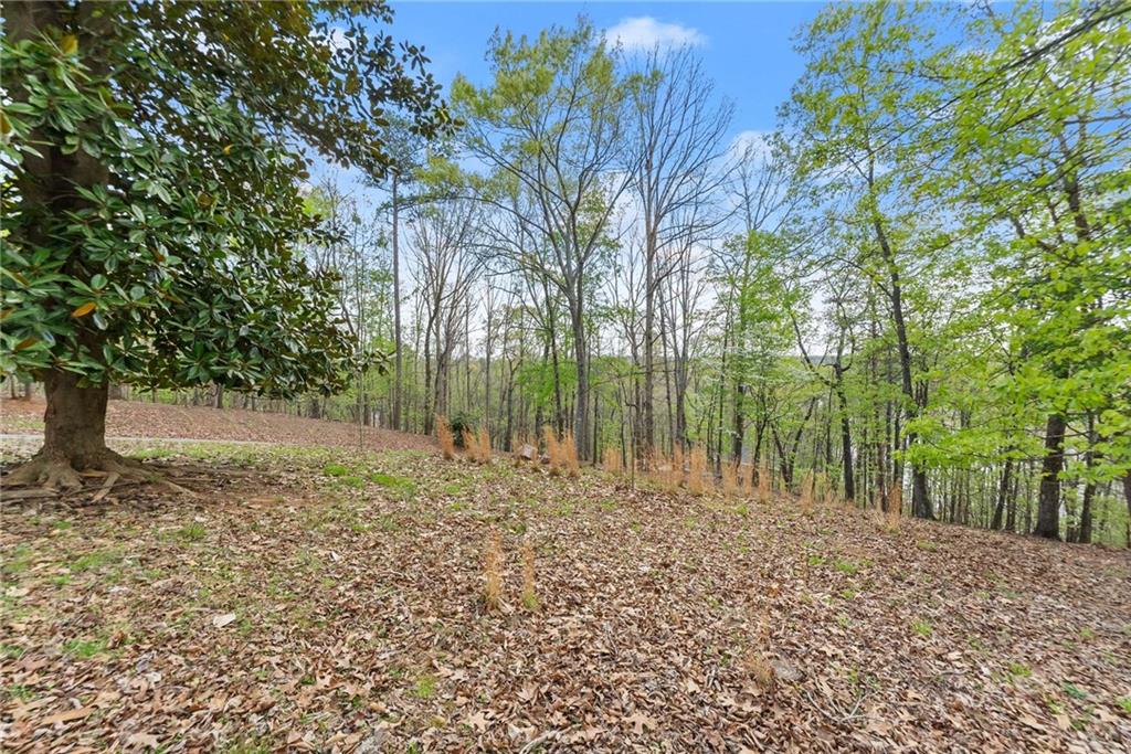 0 Thompson Ovlk Property Photo 17