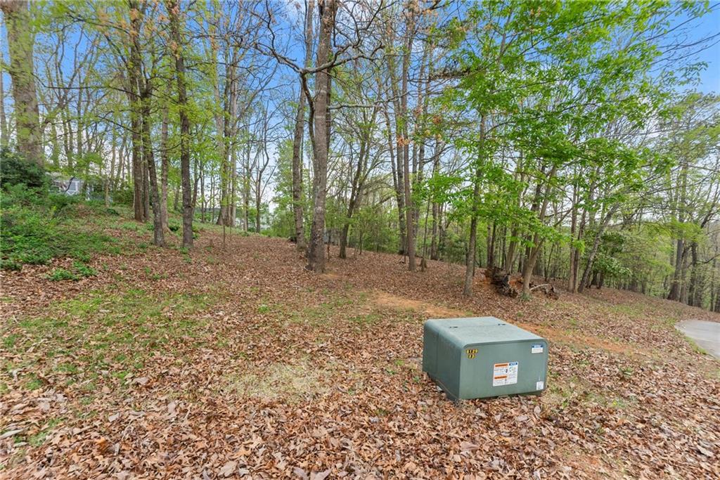0 Thompson Ovlk Property Photo 19