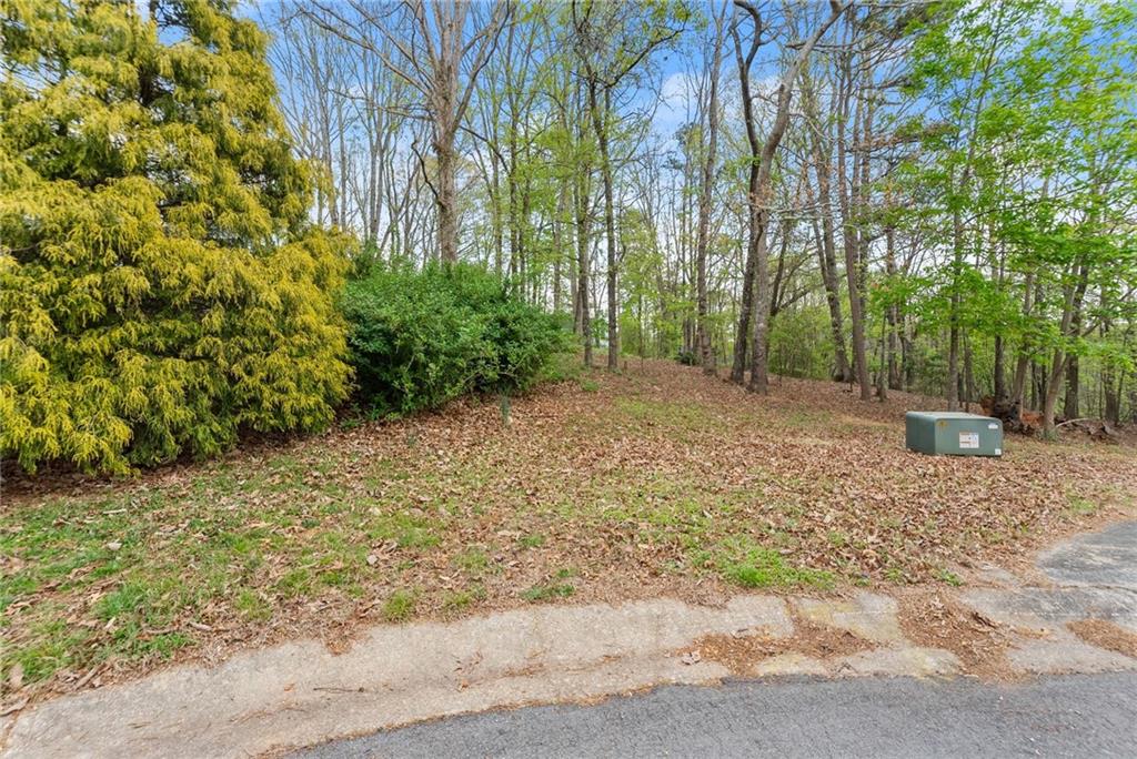 0 Thompson Ovlk Property Photo 20